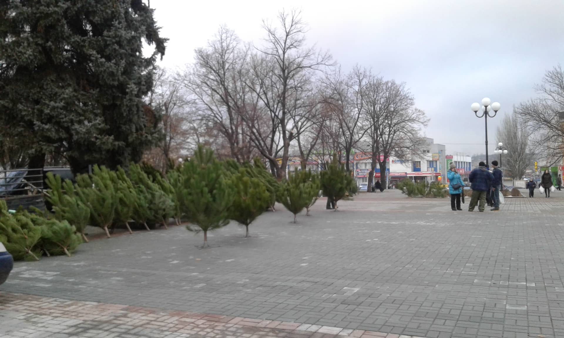 48396970 359573054590085 2138899515908816896 n 5d3c0