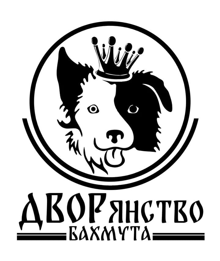 61374748 2303907826532789 6101975142550732800 n f01cd