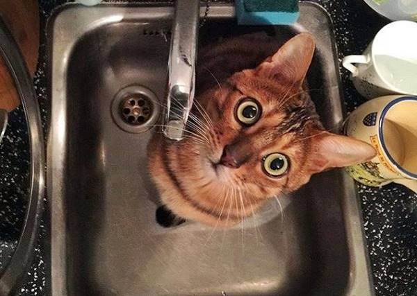 1177073e1a2cd13dd24627bf8642f671 28552