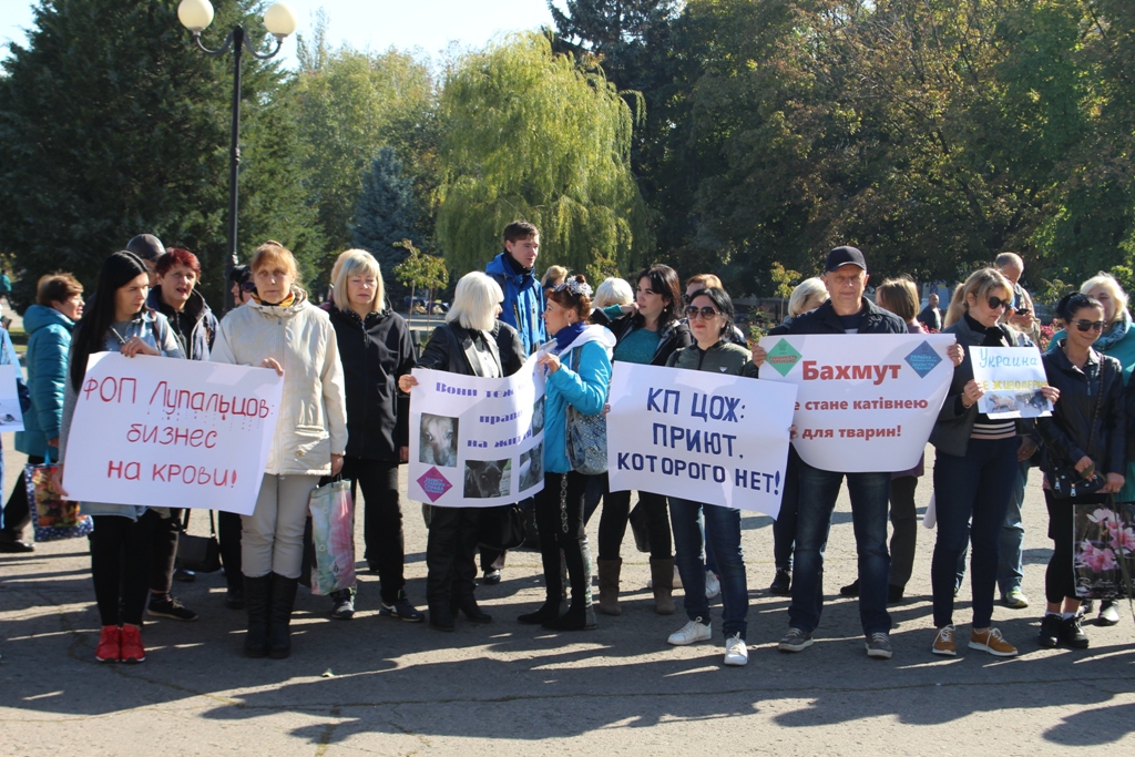 IMG 8724 695c5 IMG 8724 695c5