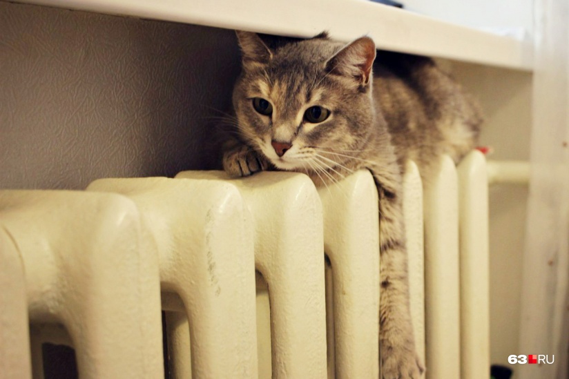 bdcfda73c65af56ea379d9a292116d471726053cd 824 549 c 2254c