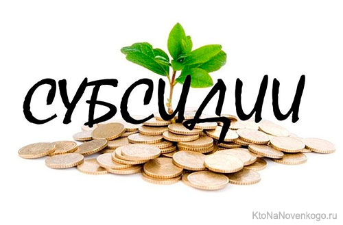 subsidii chto takoe d8dfb