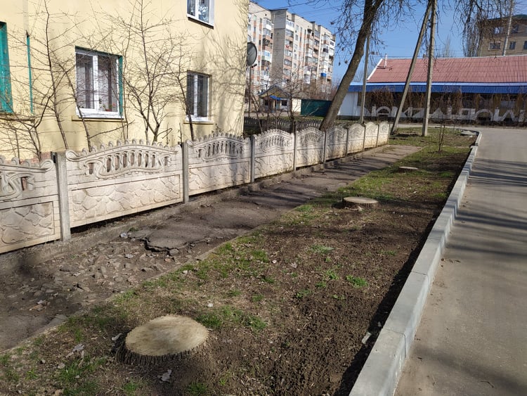 91741746 247620733298991 1914957069237092352 n 3b287