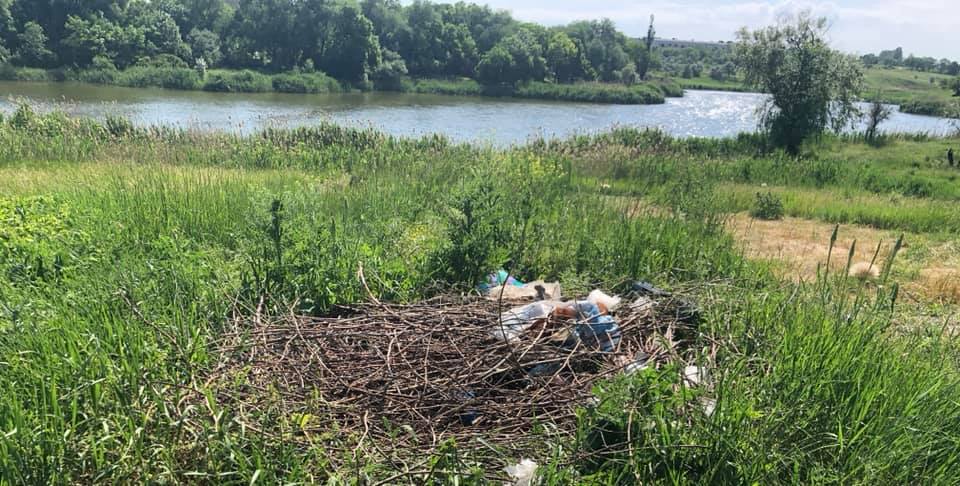 102263832 2617404691867095 2779251774757940469 n b61c9 102263832 2617404691867095 2779251774757940469 n b61c9