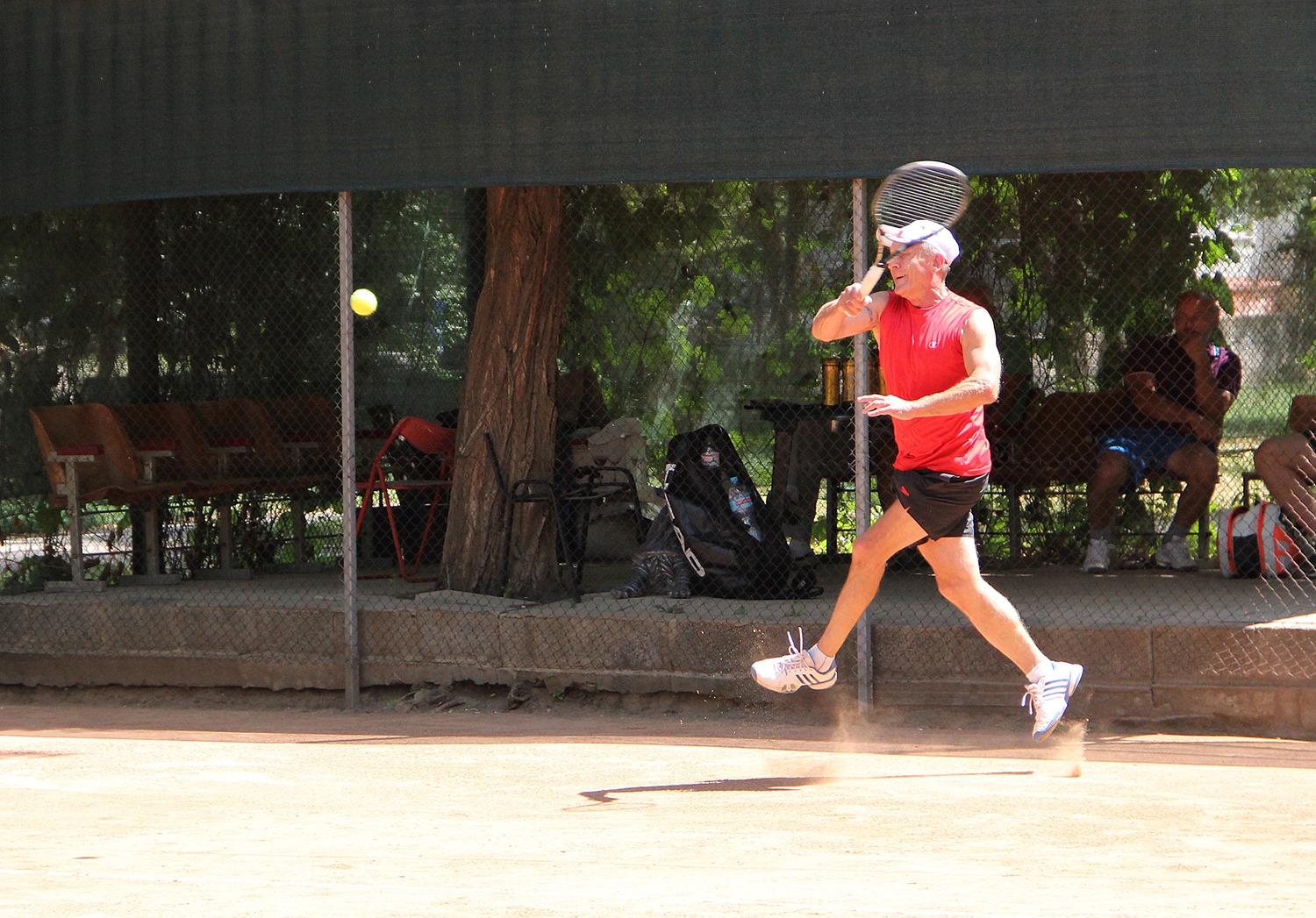 66893402 2353194548097757 2940714444864356352 o 9aea7 66893402 2353194548097757 2940714444864356352 o 9aea7