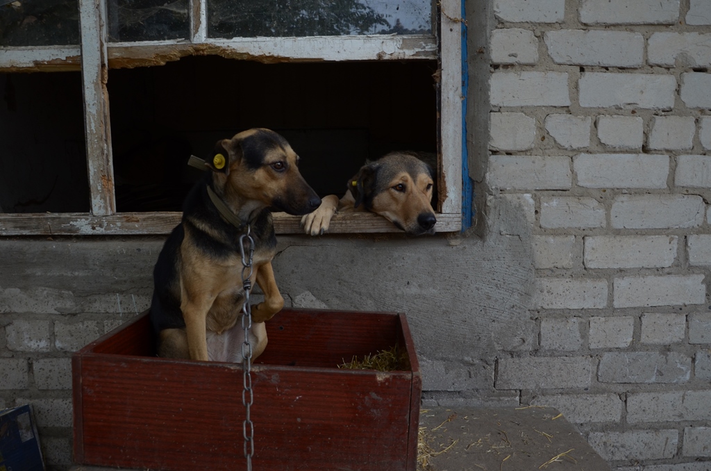 DSC 0431 ce49f 090ac