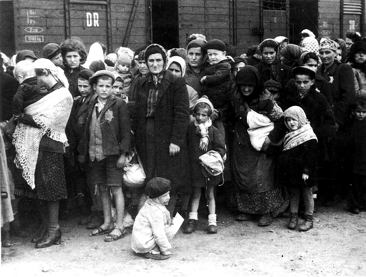 1187px Bundesarchiv Bild 183 N0827 318 KZ Auschwitz Ankunft ungarischer Juden 05aa0