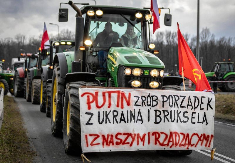 Польські протестувальники / польські джерела