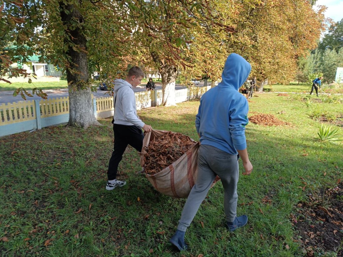 прибирання гоща гощі