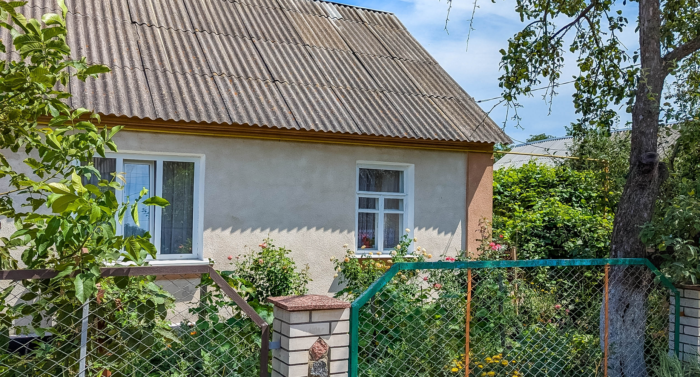 будинок у селі